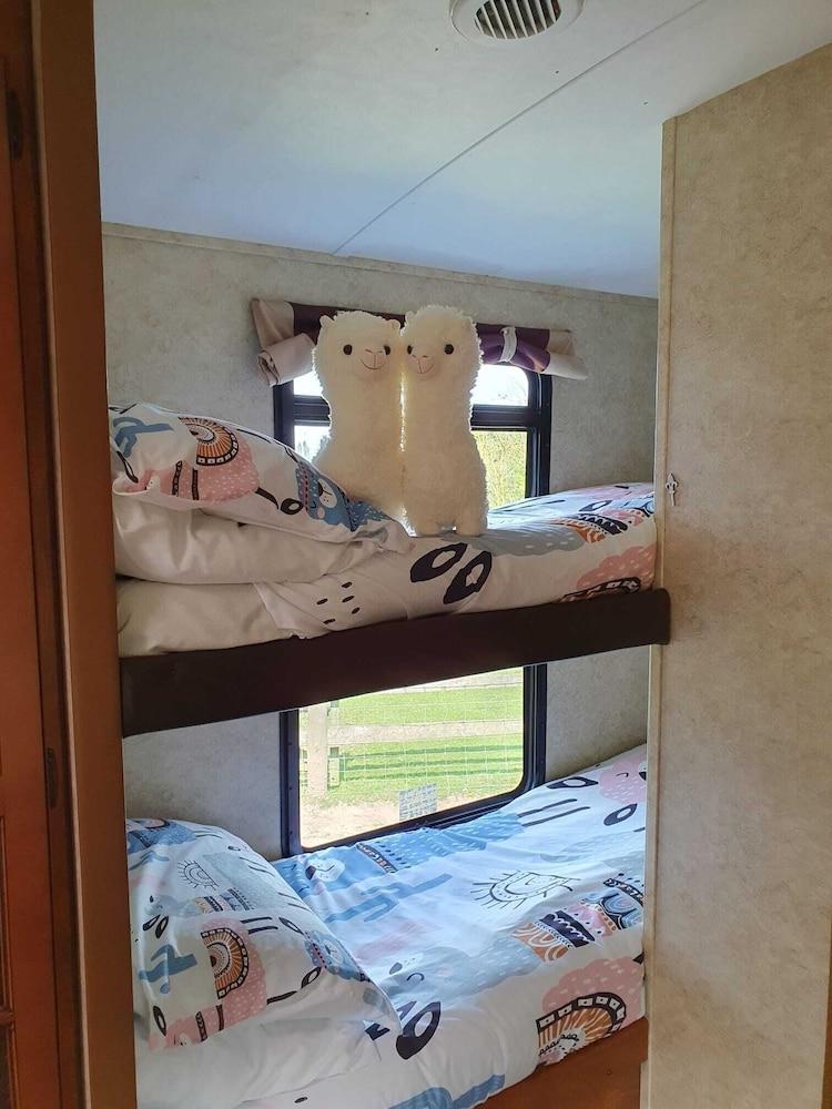 Glamping With Llamas