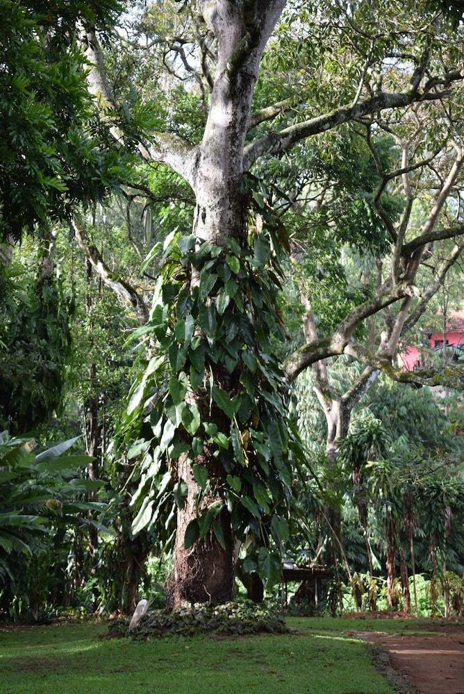 Micklefield Bungalow