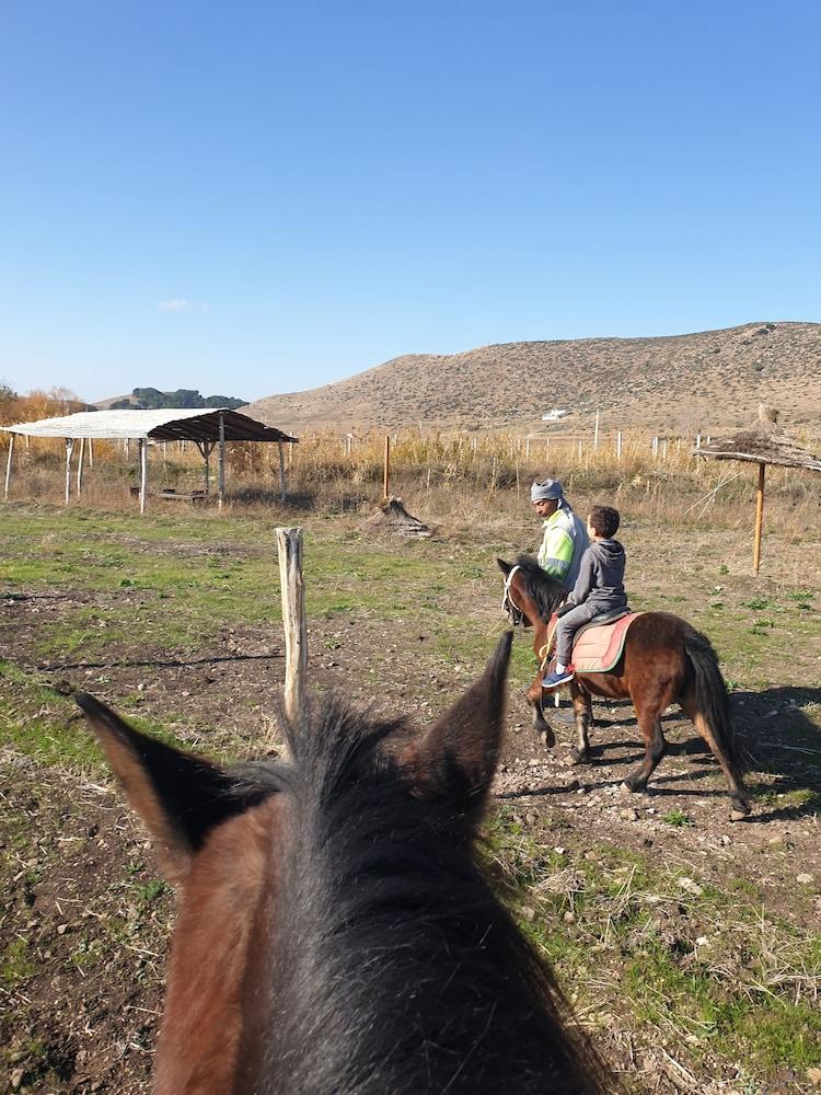 Le Vallon Vert - Club Équestre