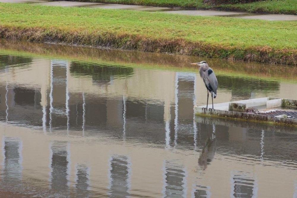 Ip60384 - Fiesta Key - 3 Bed 2.5 Baths Townhome