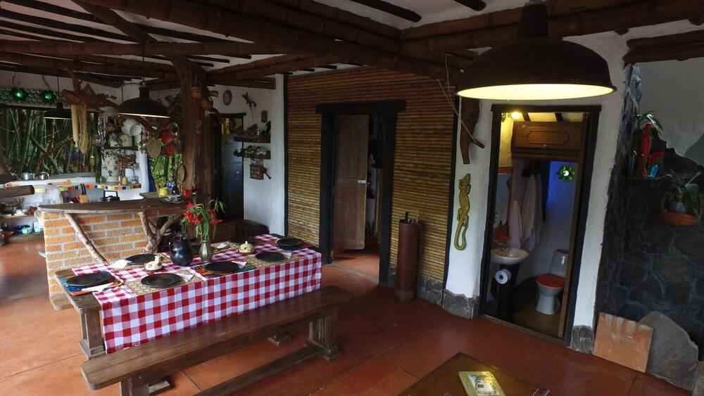 Viga Vieja el Arbol by Nomad Guru