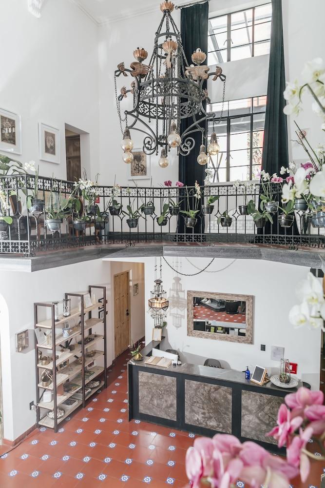 Orchid House Mexico City