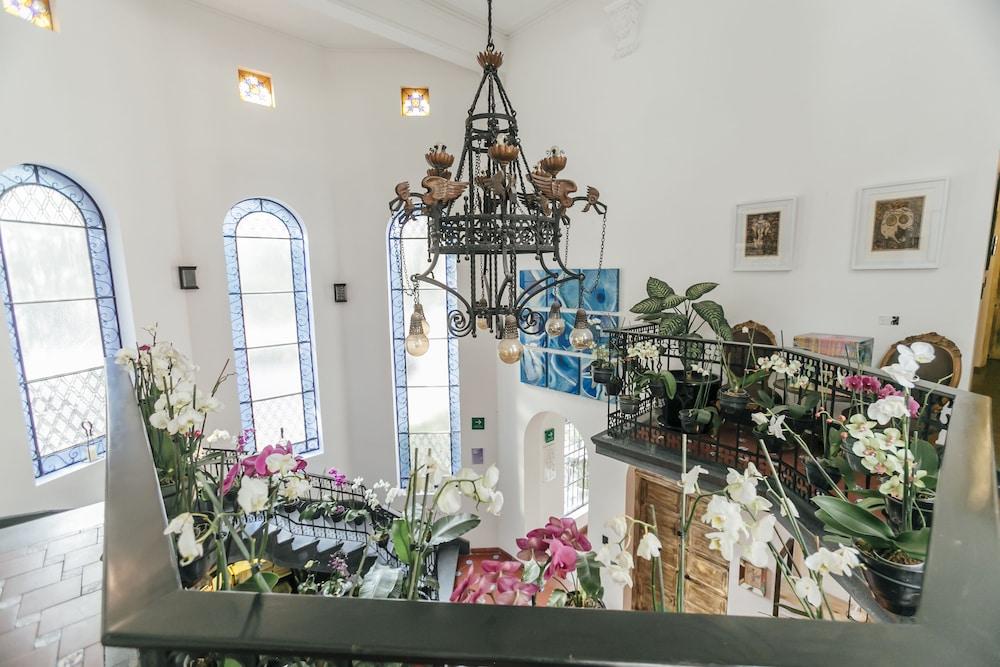 Orchid House Mexico City