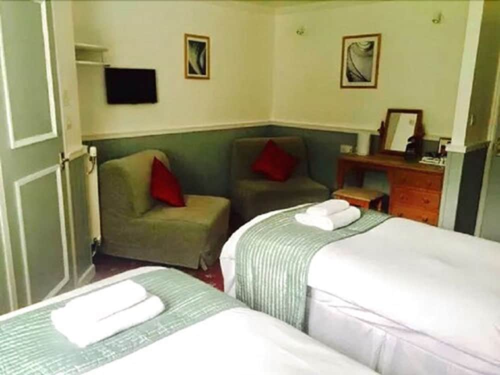 OYO The Bug & Spider