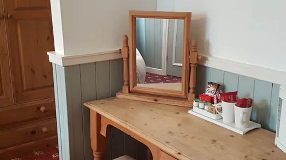 OYO The Bug & Spider