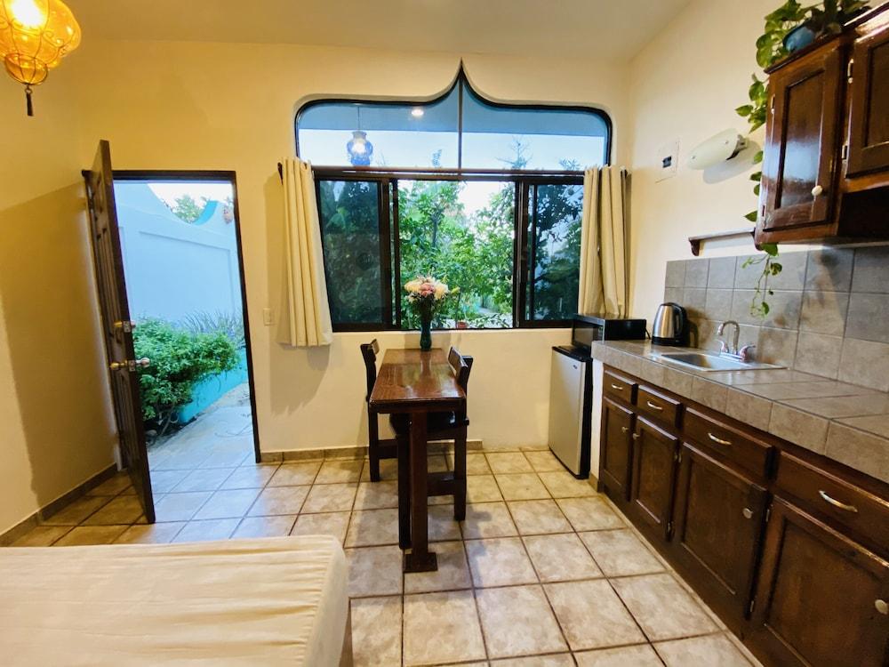 CABO BOHEMIA Tropical Garden Studios