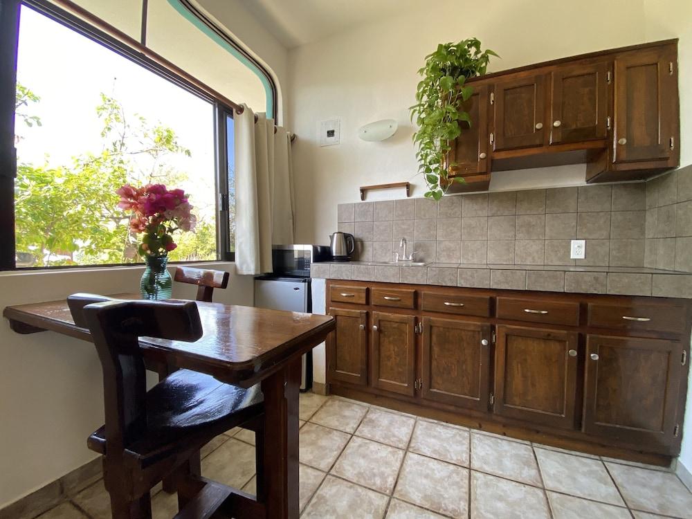 CABO BOHEMIA Tropical Garden Studios