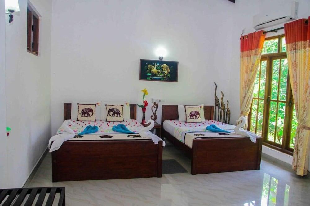 Hungry Lion Sigiriya