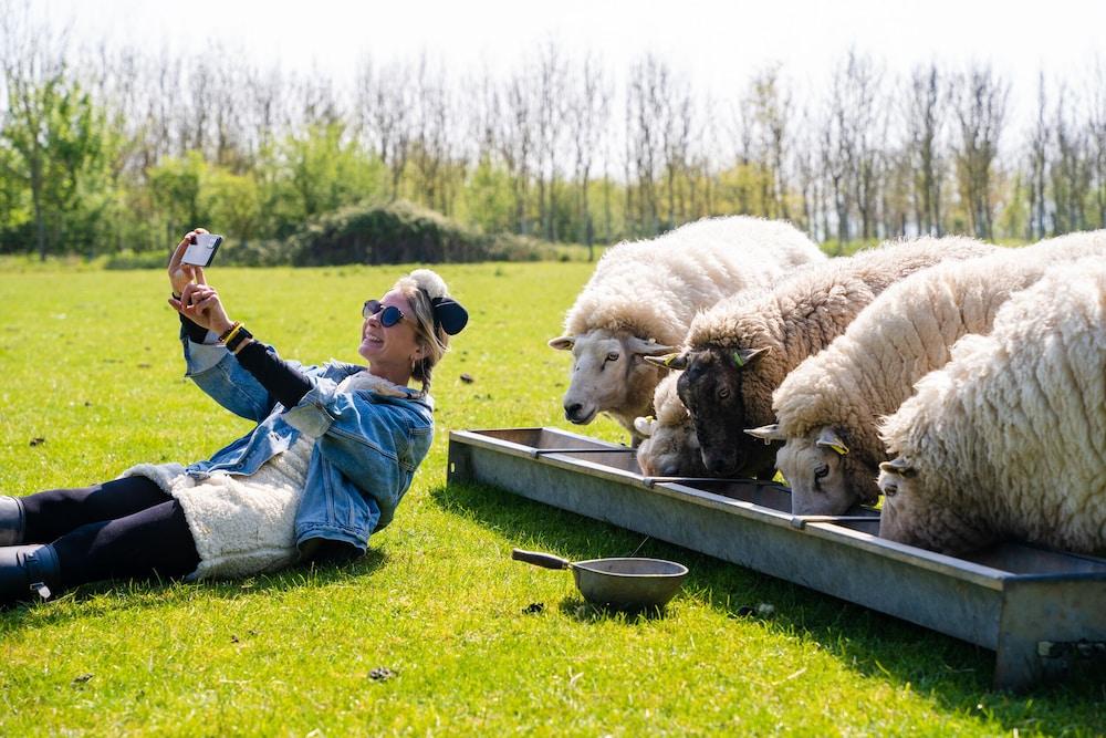 Overe - The Farm Camp