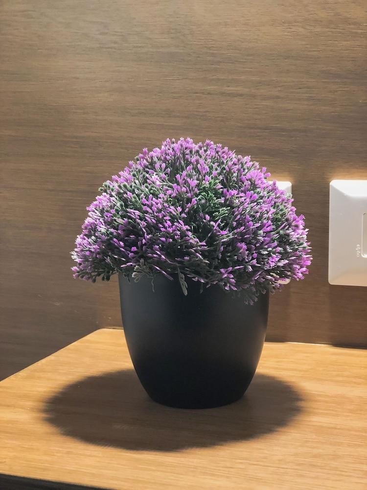 Viento Suites Cancún