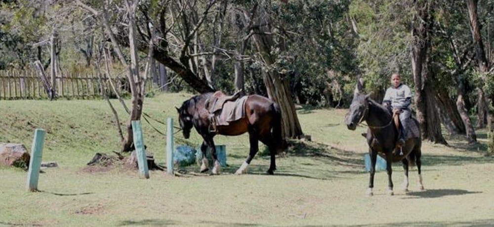 Bantu Mountain Lodge