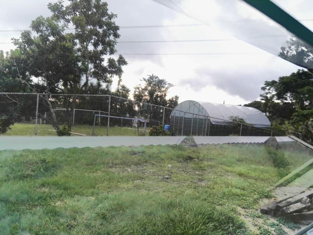 Pedacito de Cielo Guest House