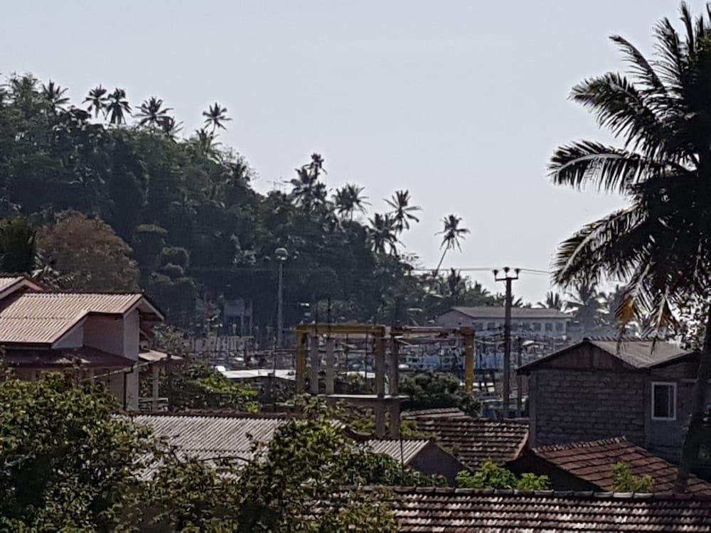 My Whales Guest House