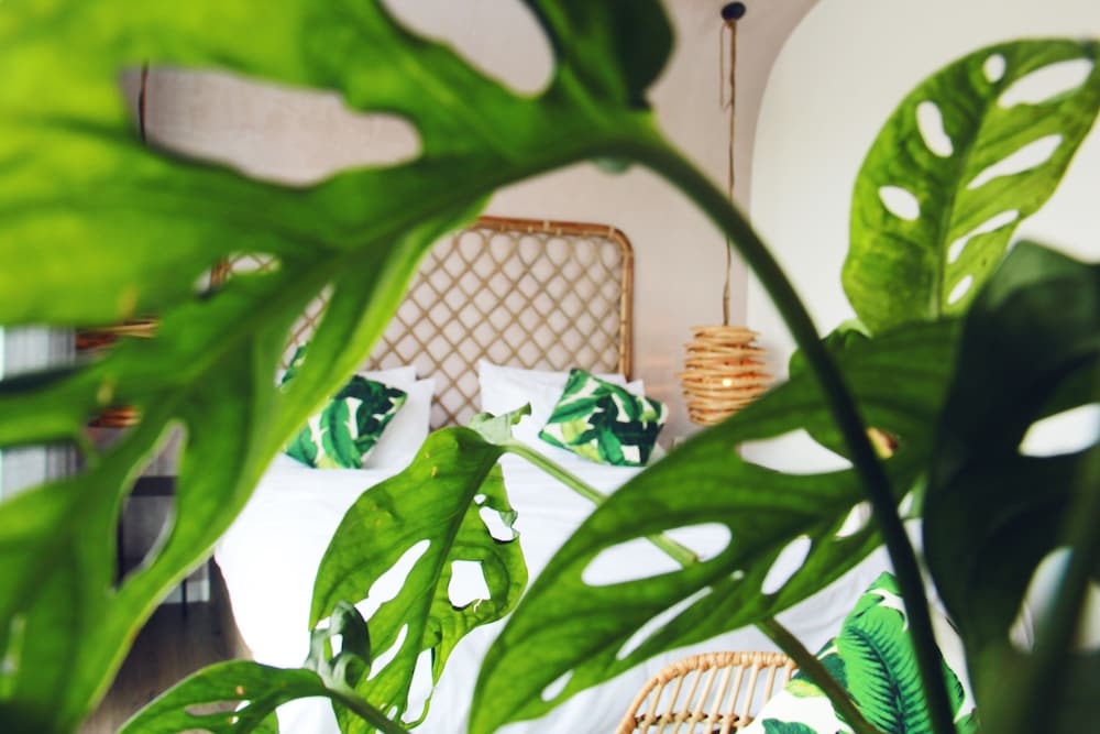 Green River Boutique Hotel