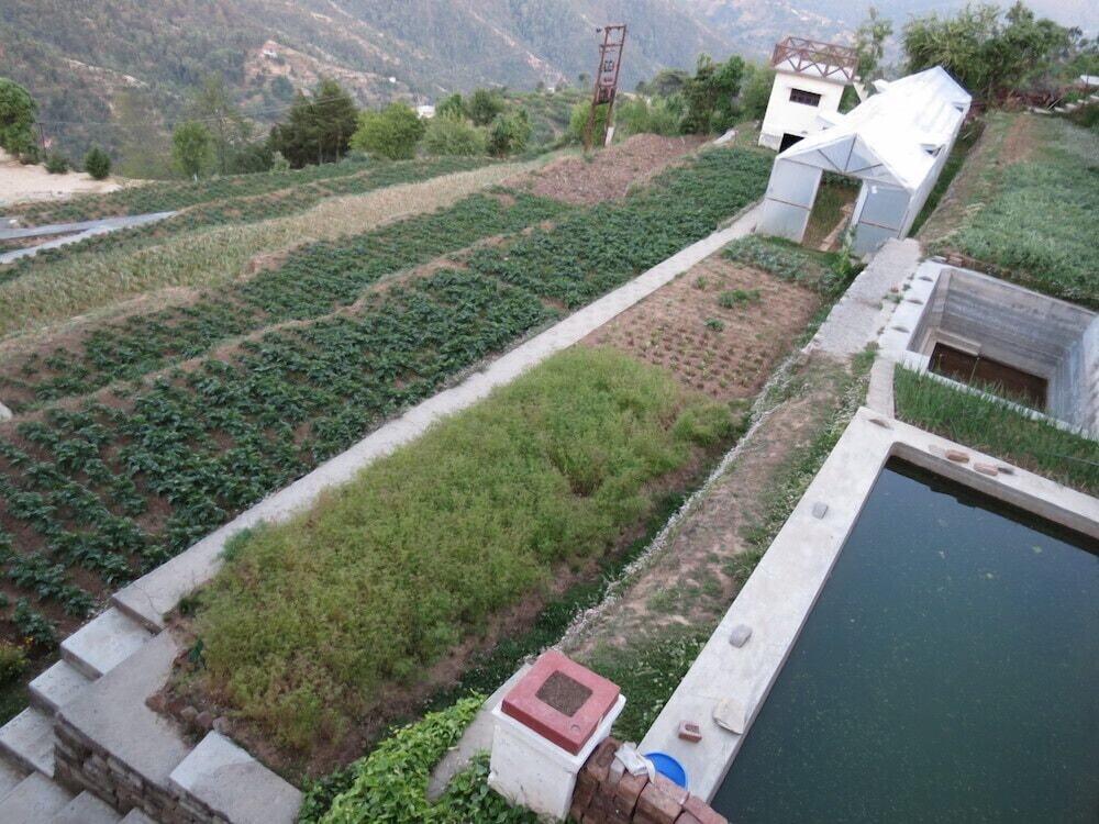 Trishul Orchard Resort