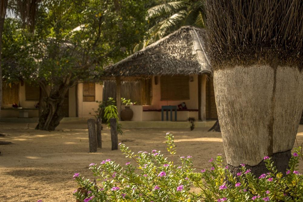 Cocodance Kitesurfing Resort