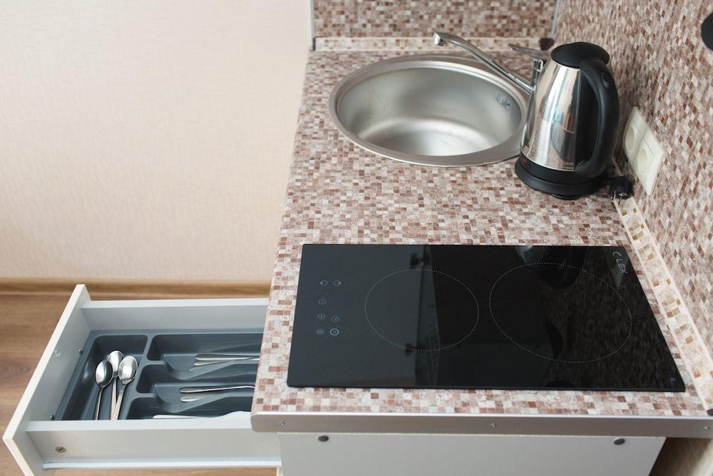 Duplex Apartments on Pushkinskaya 12