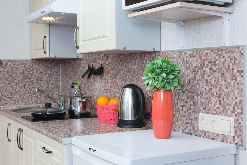 Duplex Apartments on Pushkinskaya 12