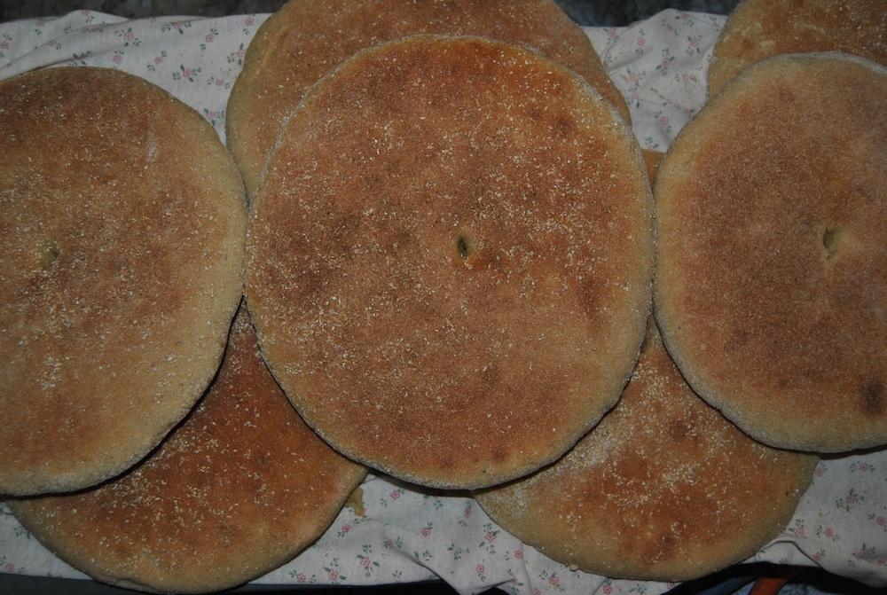 Ferme d'Hôte Aicha à Bellouta