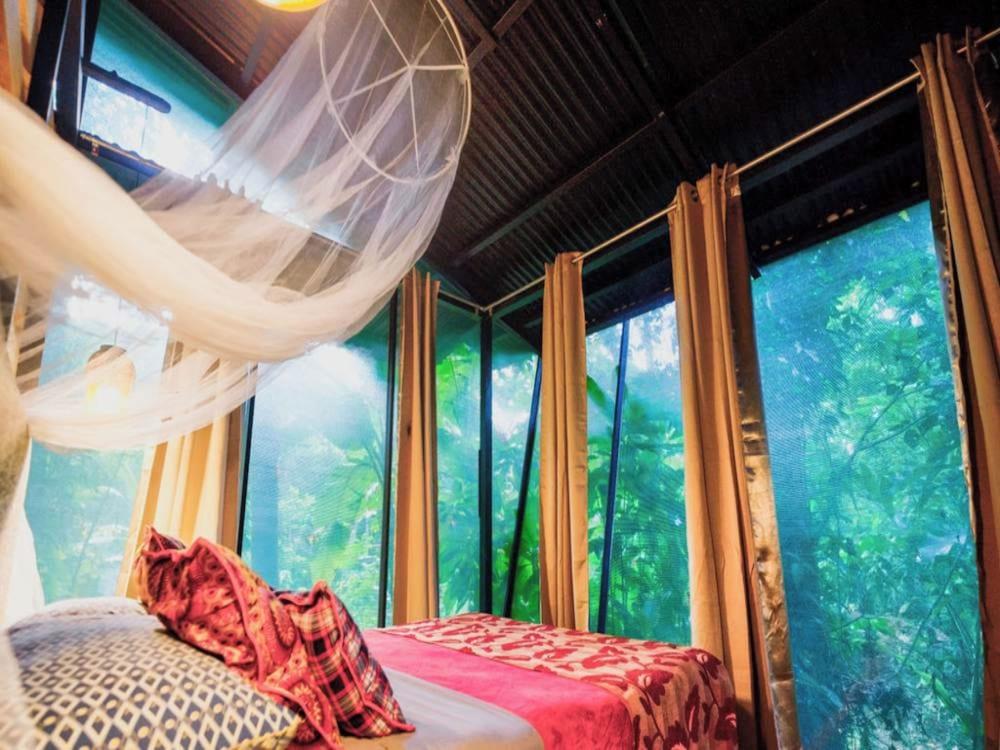 La Shamana Ecological, Concept in the Jungle