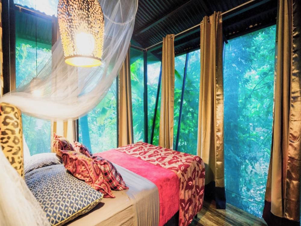 La Shamana Ecological, Concept in the Jungle