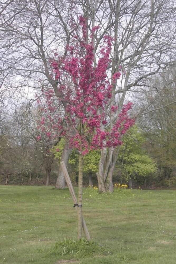 Manoir De La Plane B&B