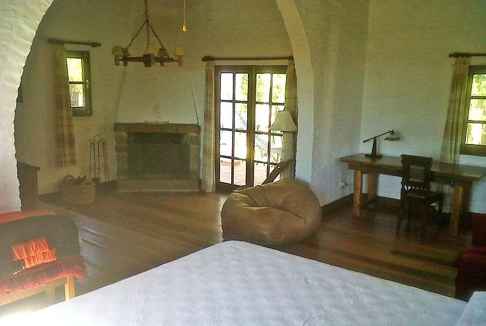 Pinos de la Quebrada