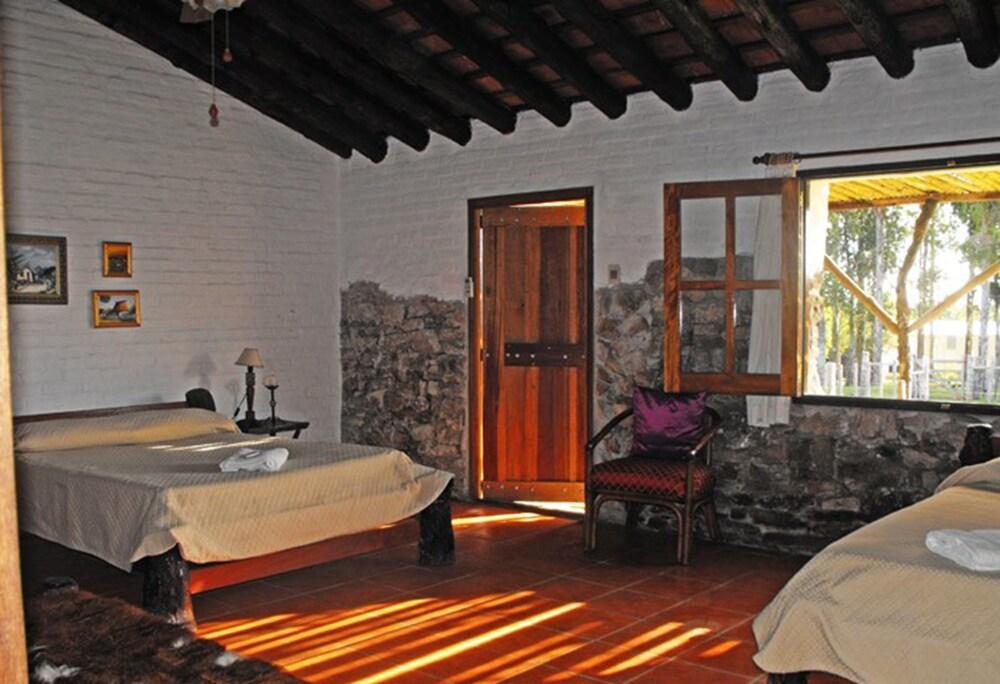 Pinos de la Quebrada