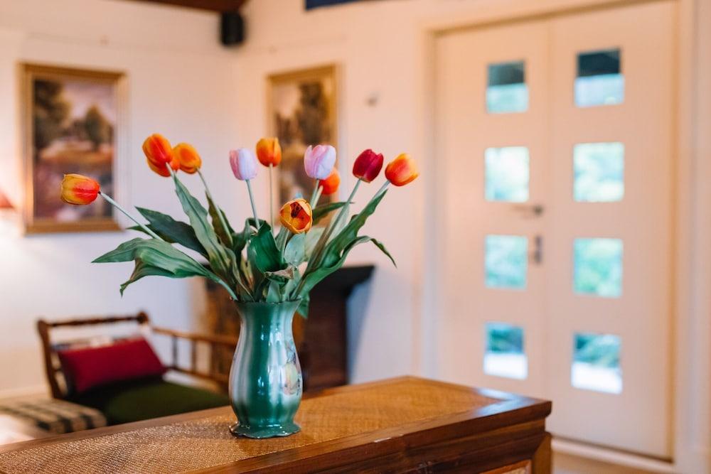 Outlook Hill Vineyard Cottages