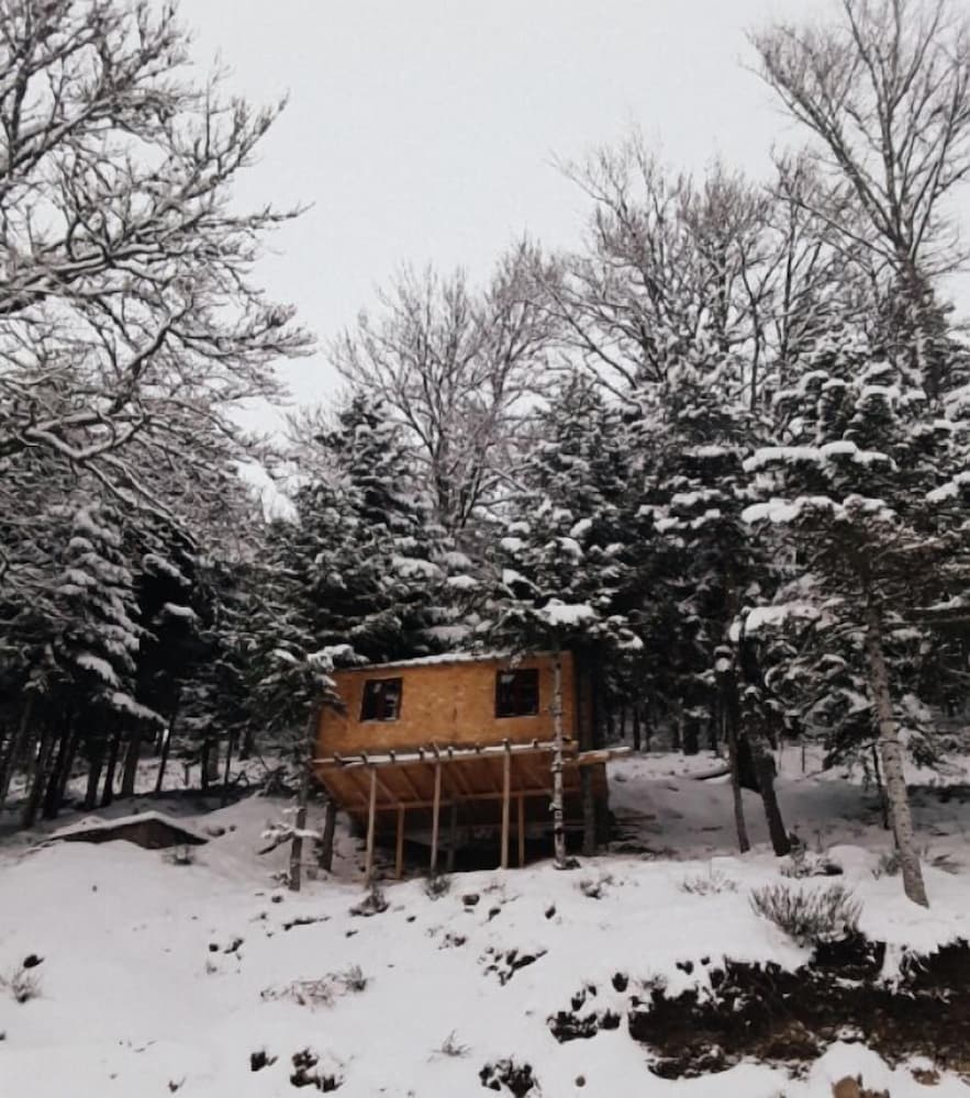 La cabane dans les arbres