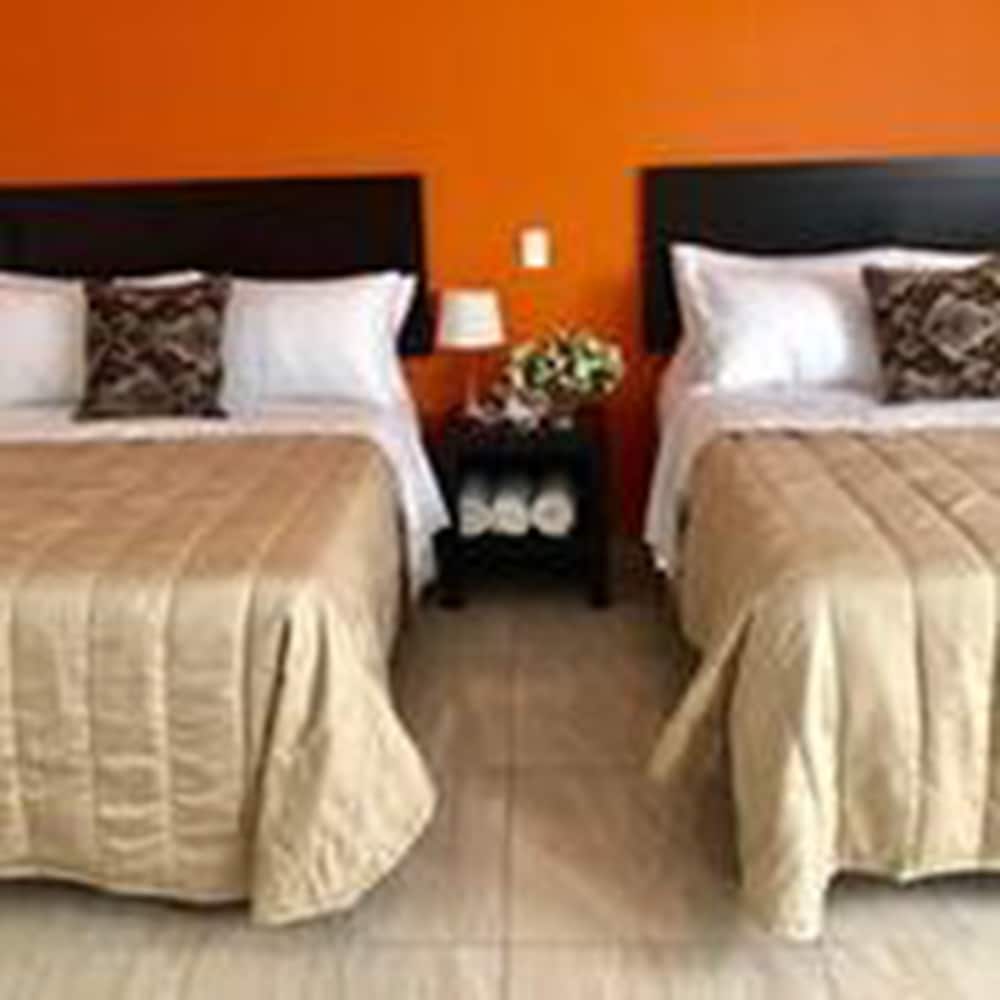 Zamora Ejecutivo Express