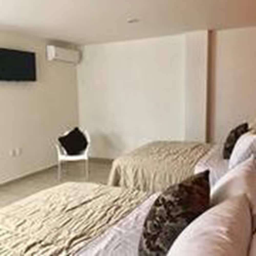 Zamora Ejecutivo Express