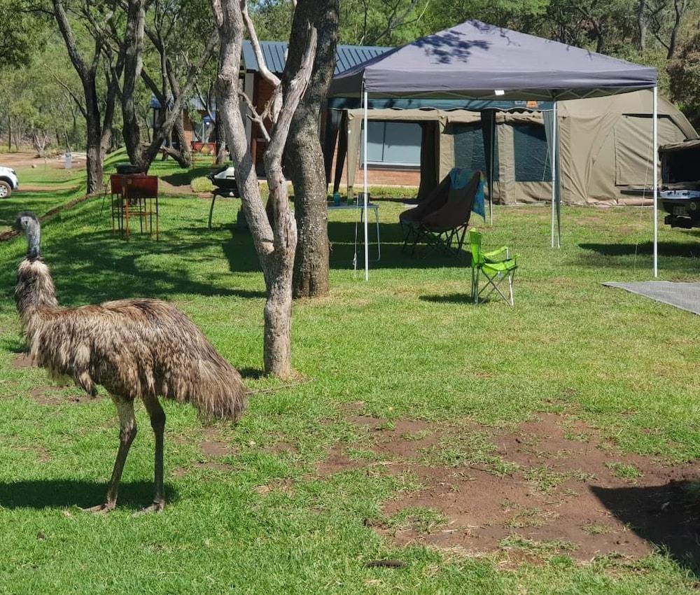 Ruah Park Camping & Outdoor