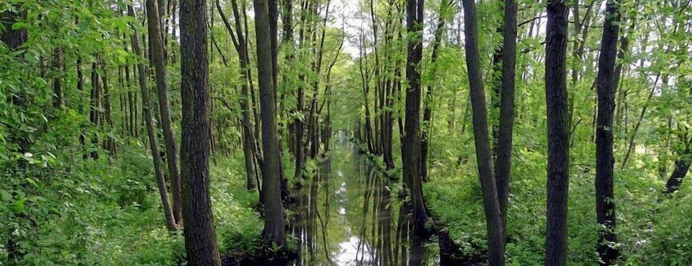 Hotel Märkischheide GmbH