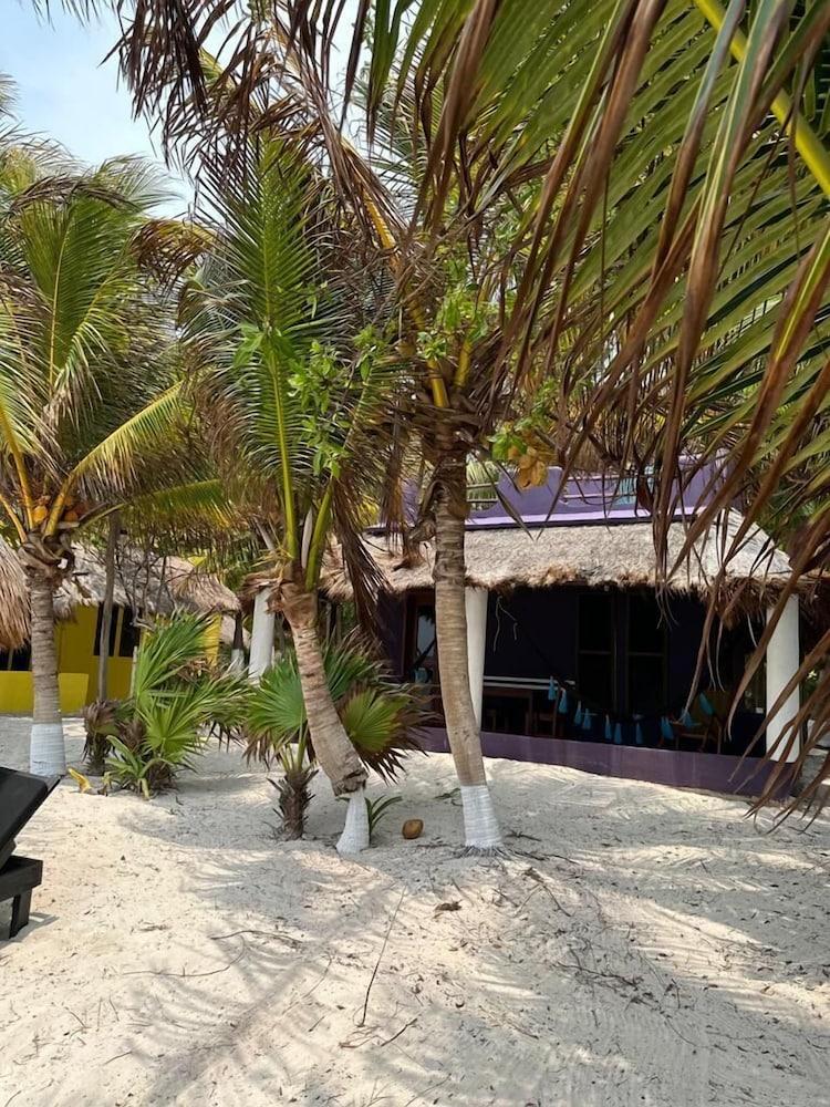 Hotel Maya Luna Adults Only