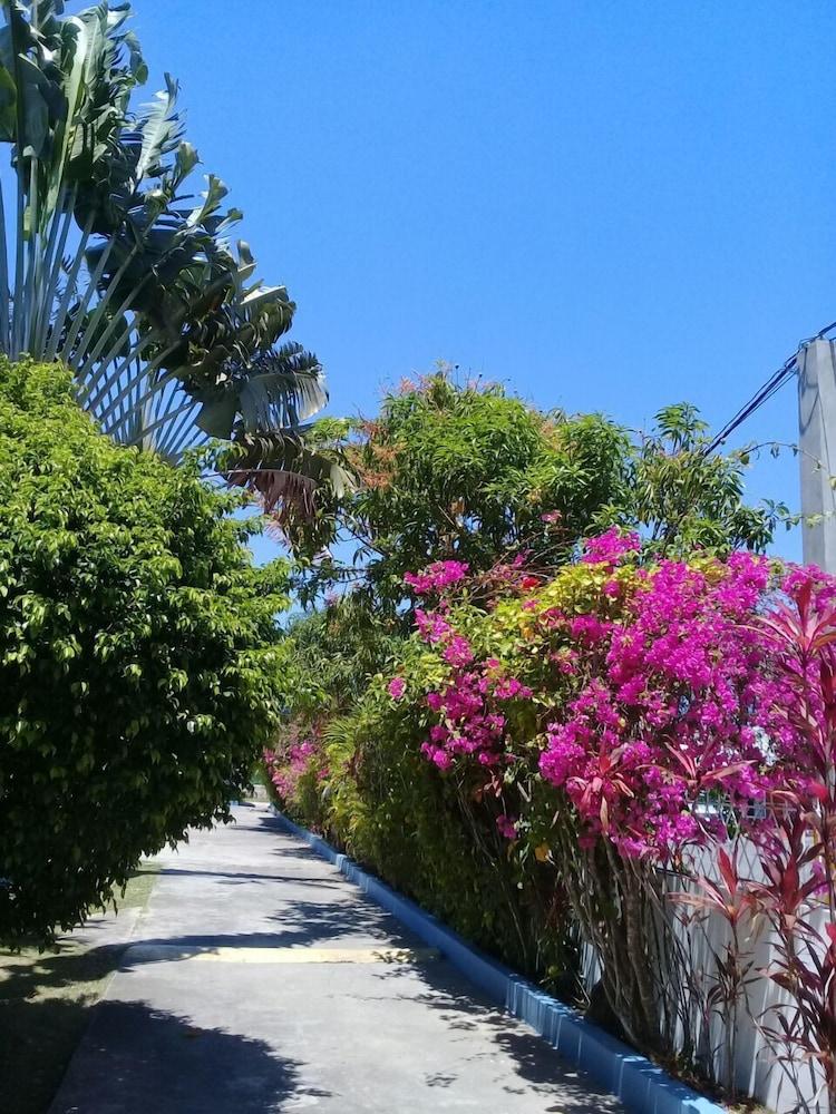 Palm Tree Guest House