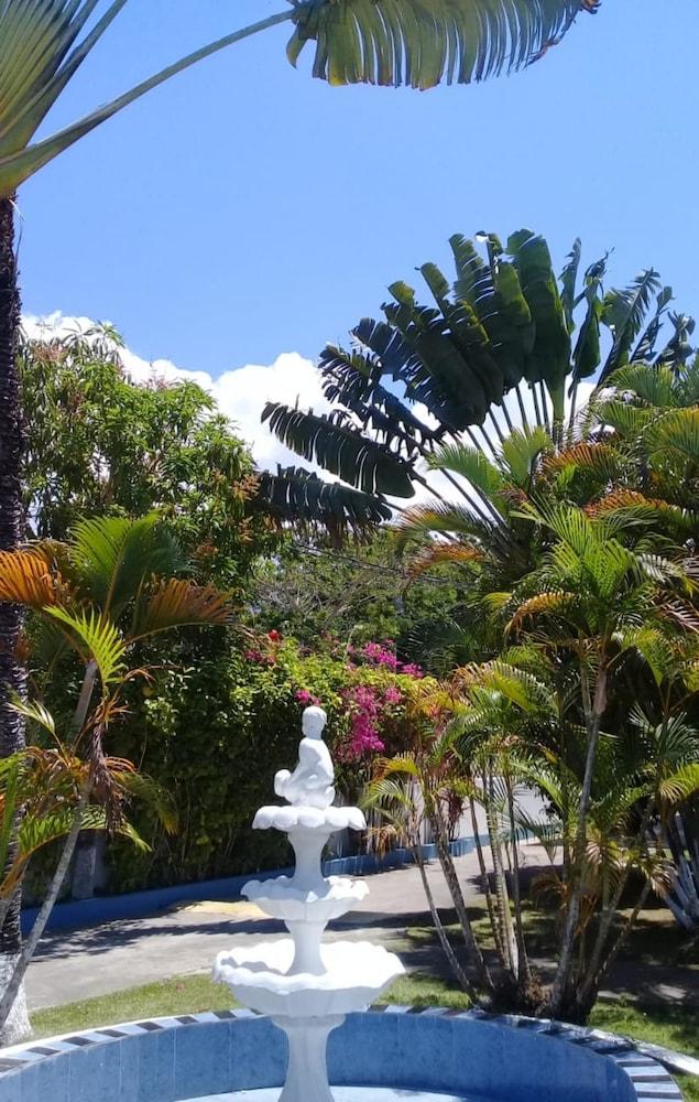 Palm Tree Guest House