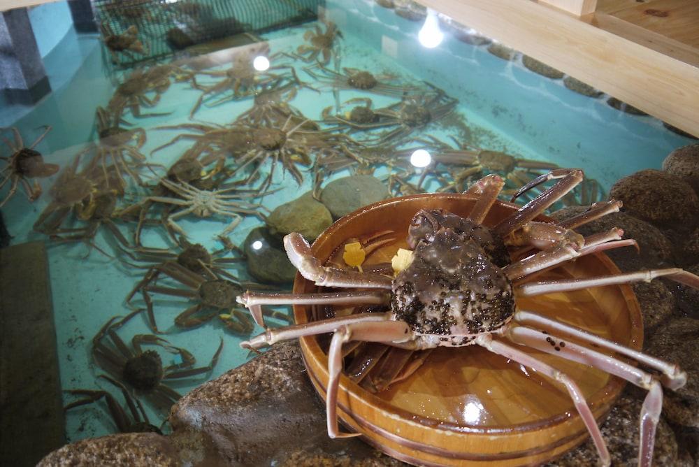 Hotel Kappo Ishimaru