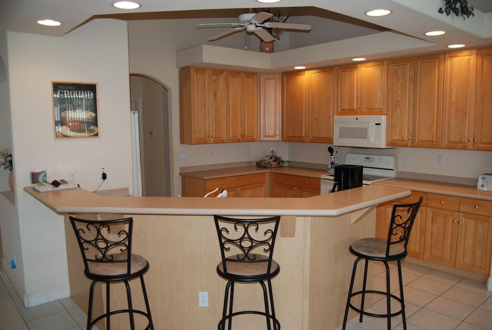 House Sunflower by Vacationhit