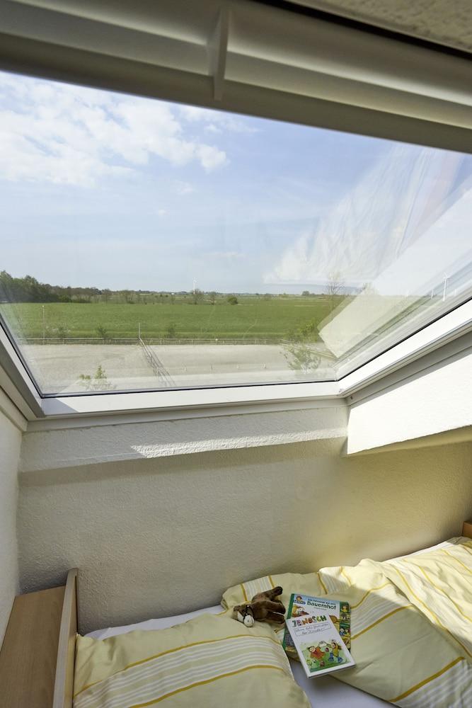 Traberhof - Landurlaub in seiner schönsten Form - freies Reiten inbegriffen - Hunde willkommen - Sauna im Haus - Kanuverleih - tolle Radwege - Deich in Sichtweite