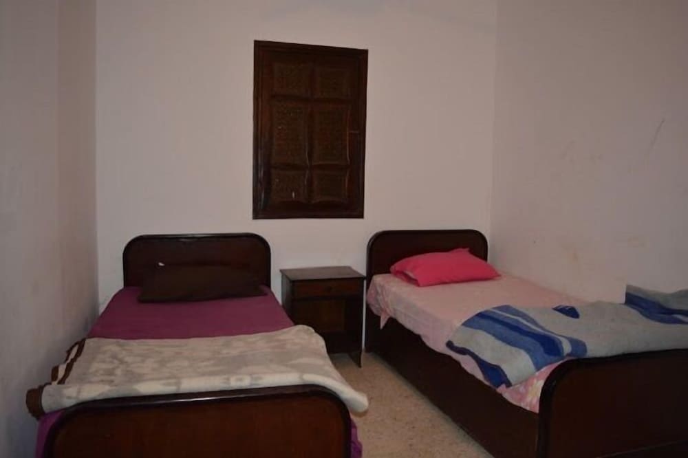 Oasis Fighting Kangaroo