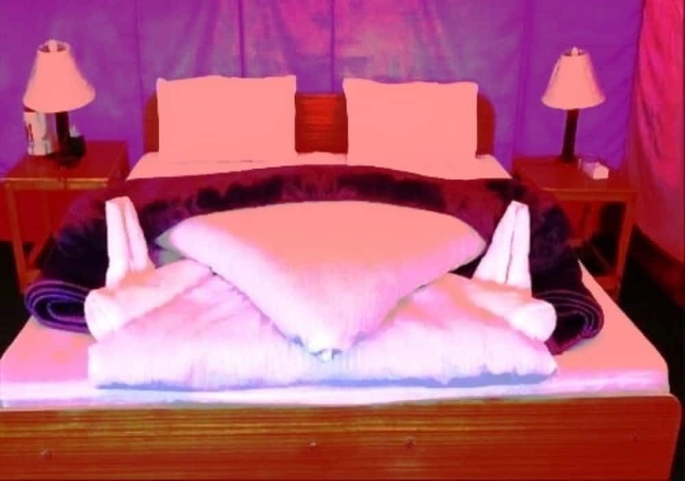 TIH Saser Camp Nubra