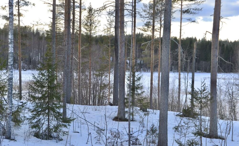 A. Tuomarniemen Kartano