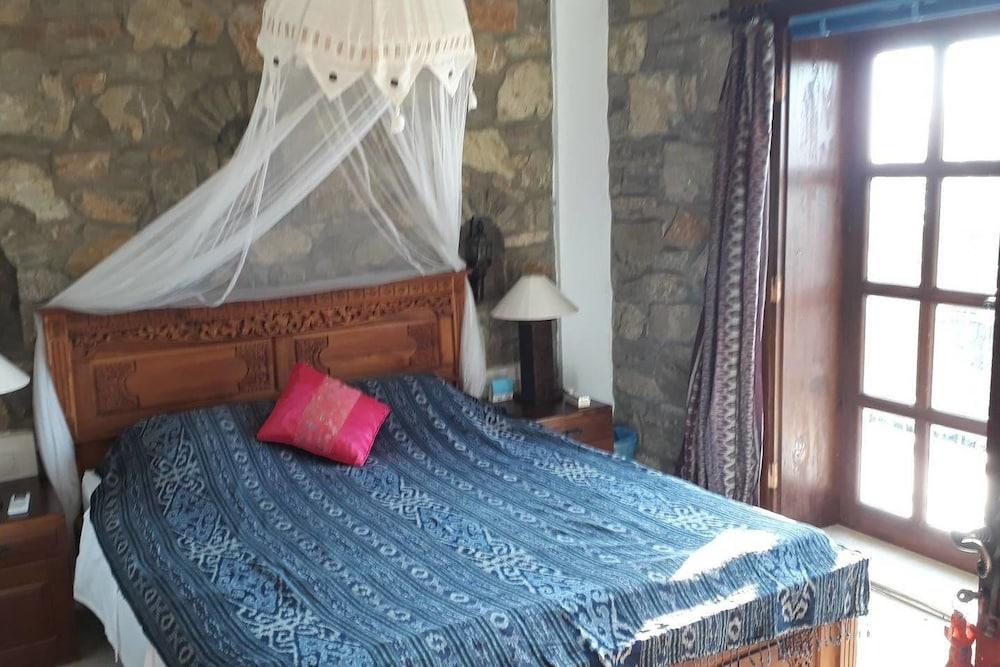 Lazy Lizard Boutique Hotel