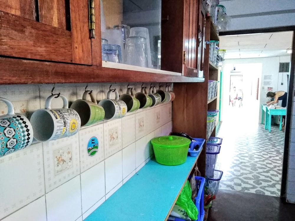 The Amazon Within Hostel