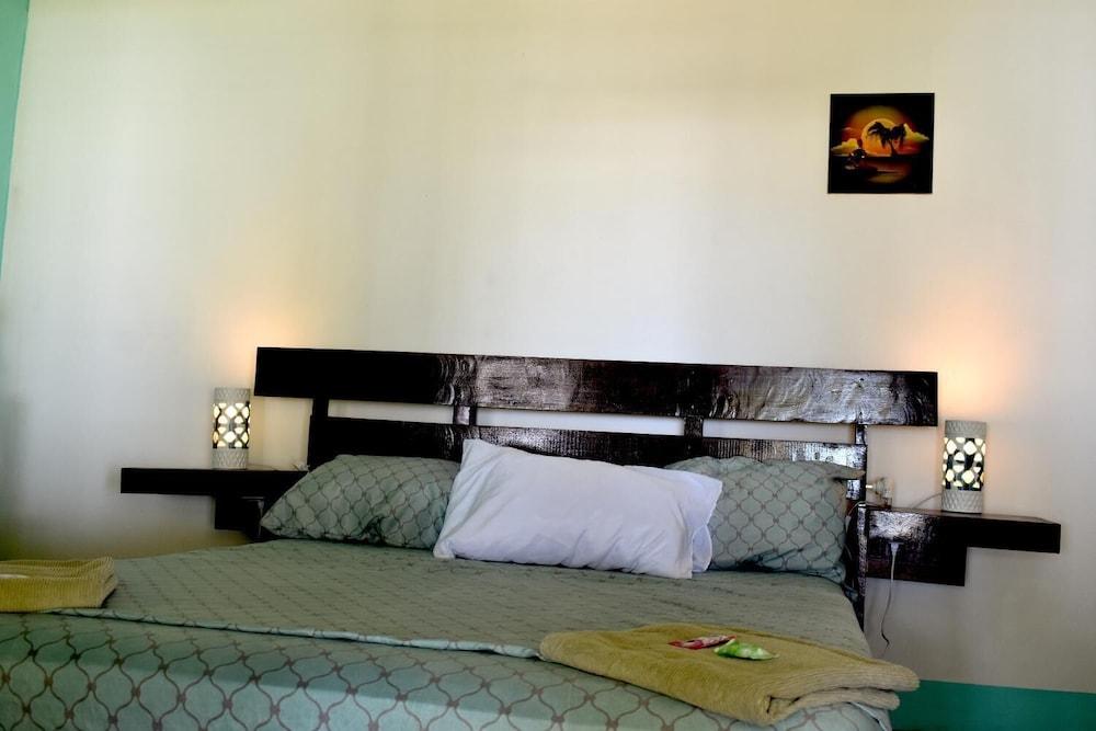 Casa Turtle Bogue - Hostel