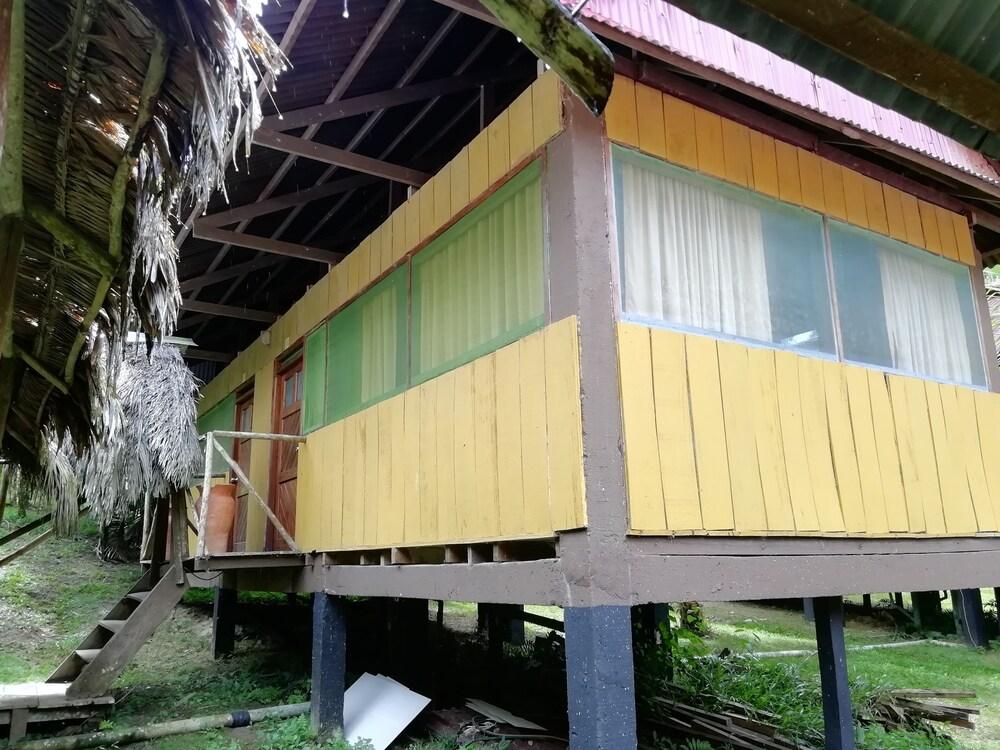 Amazon Wonder Expeditions