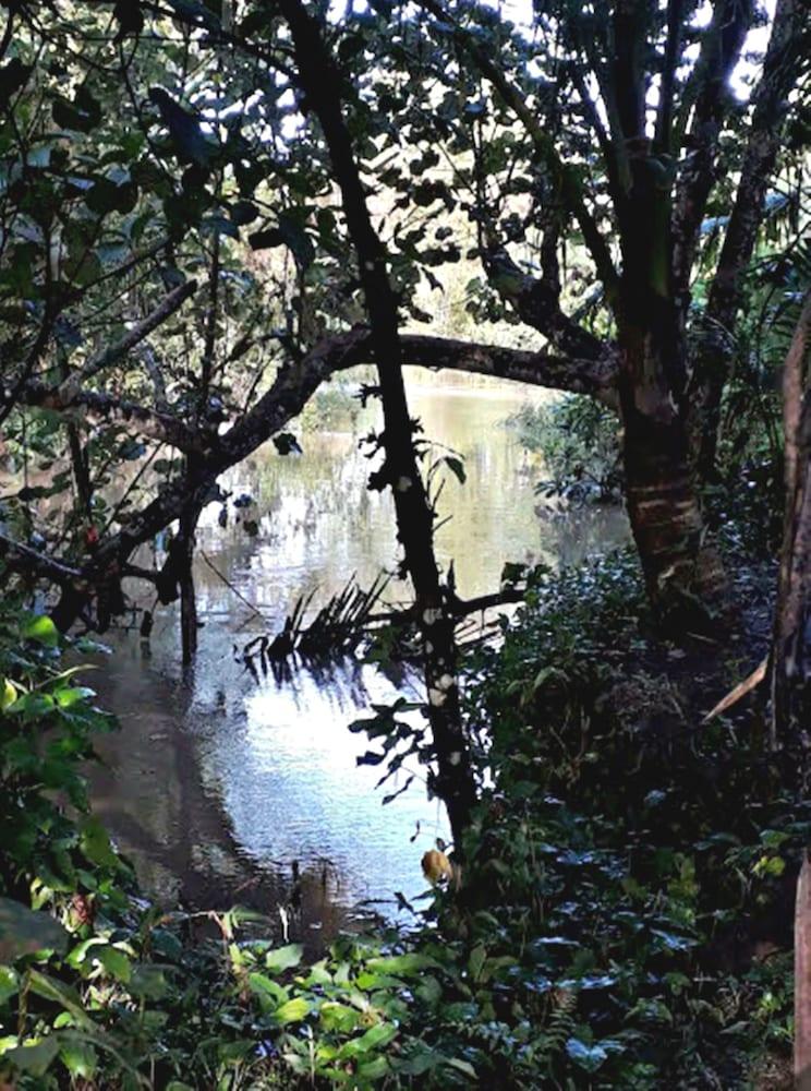 Coco Bamboo Cottages