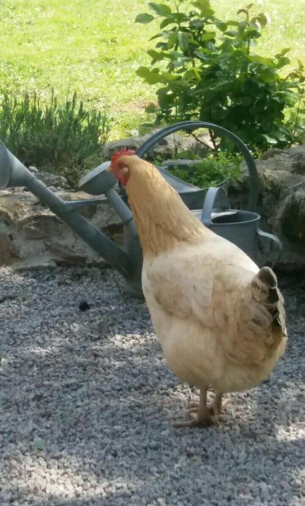 Domaine  Le Petit Moulin