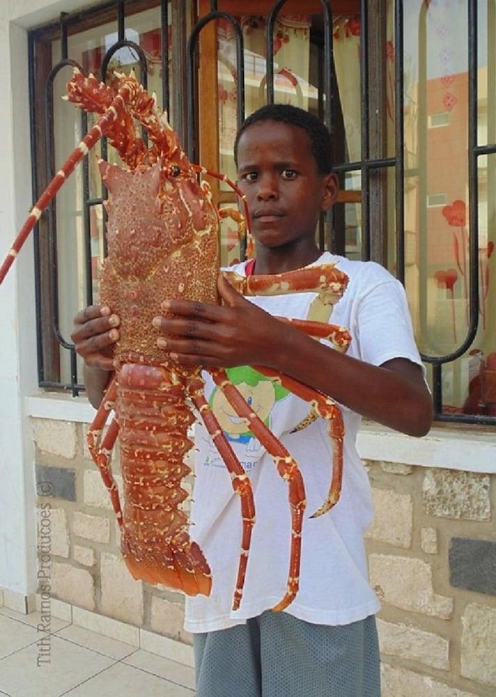 Bungalows Bela Vista Maio Beach